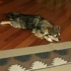 Meet your Posher, Beth